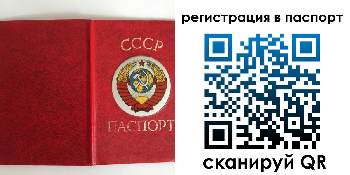временная регистрация госуслуги в Павловске